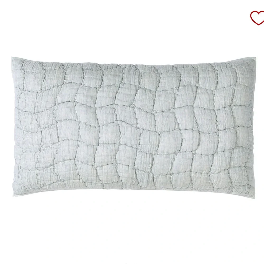 Pottery Barn Cloud Quilted King Sham in Chambray